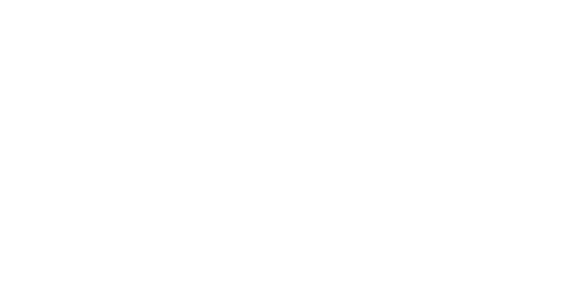LOGO EBENISSIME